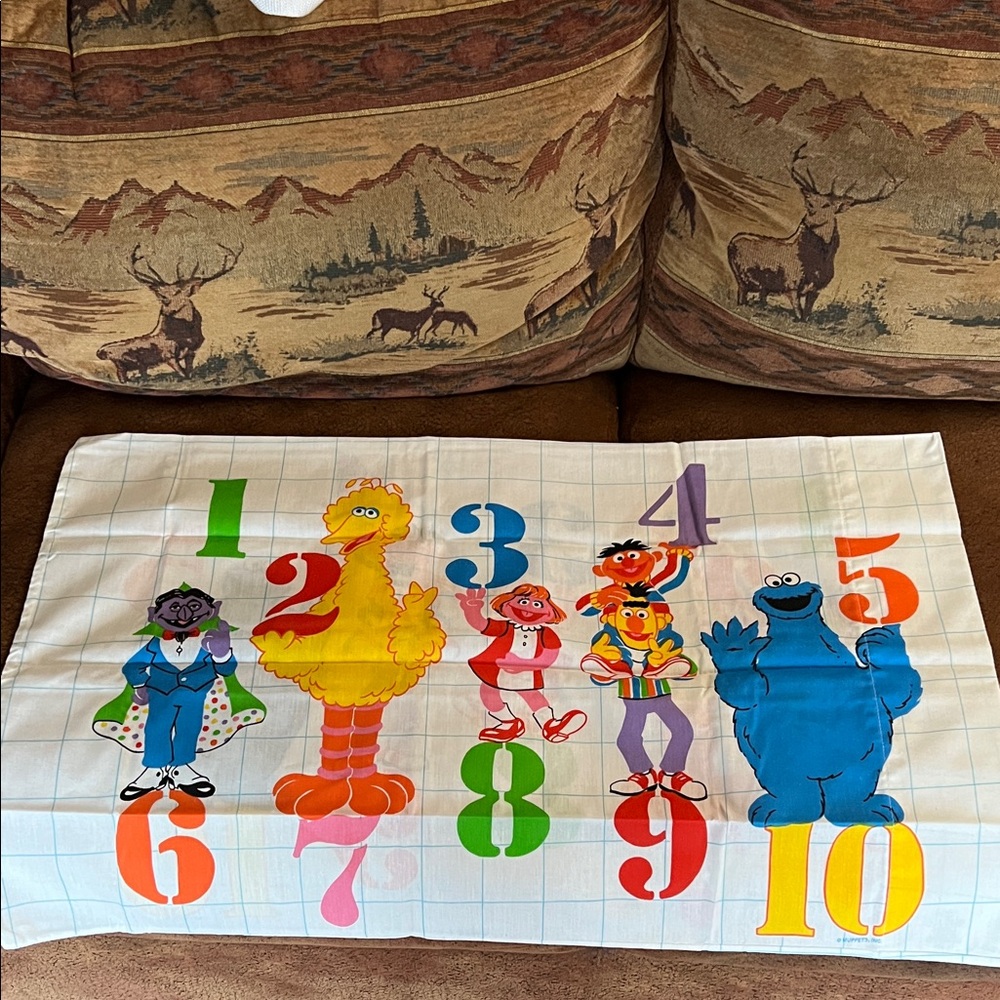 Colorful Sesame Street Character Pillowcase’s NWT.Vintage.
